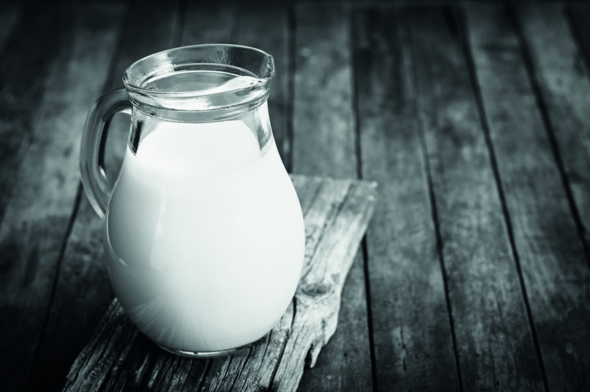 Fresh milk in the jug on the table