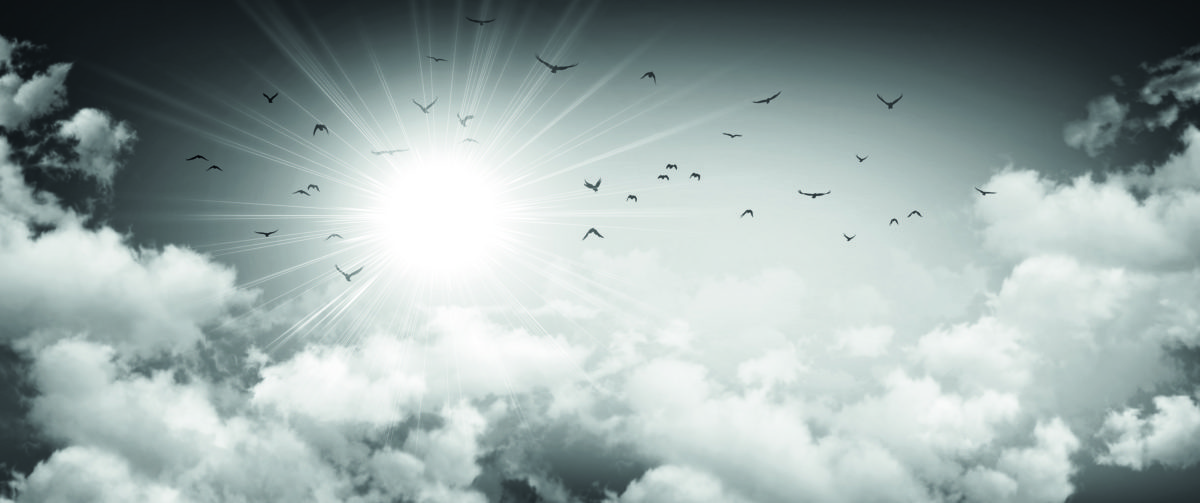 Stormy sky background, sunlight through white clouds and birds flying away